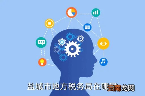 盐城地税局，盐城市地税局网上申报系统进不了是怎么一回事呀请高手指教搜