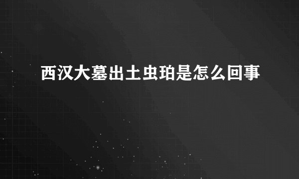 西汉大墓出土虫珀是怎么回事