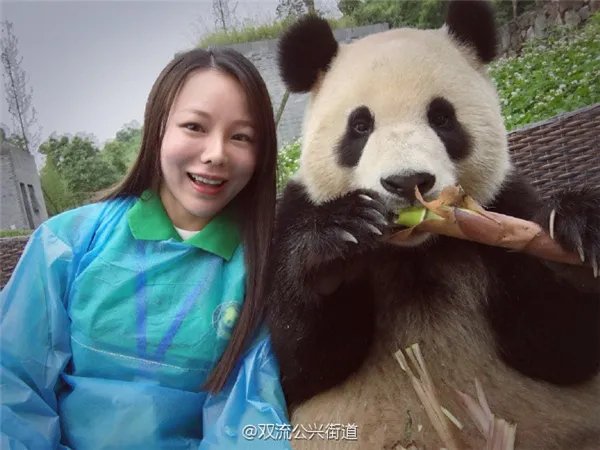 萌翻了!大熊猫与妹子合影居然会自己找角度