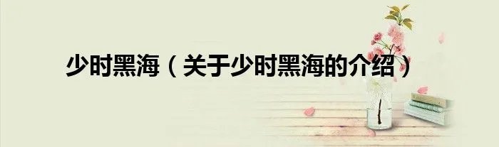少时黑海（关于少时黑海的介绍）