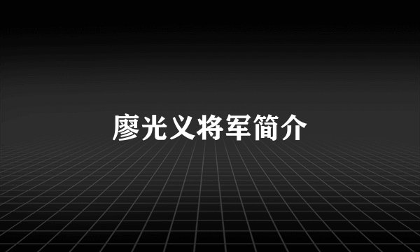 廖光义将军简介