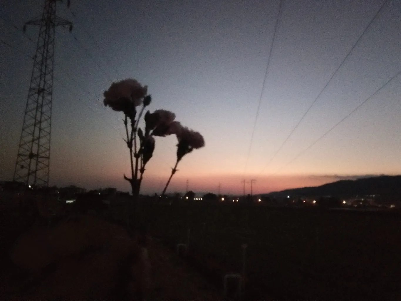 最后的光芒
