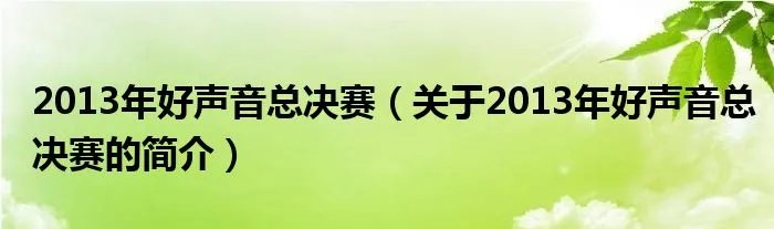 2013年好声音总决赛（关于2013年好声音总决赛的简介）