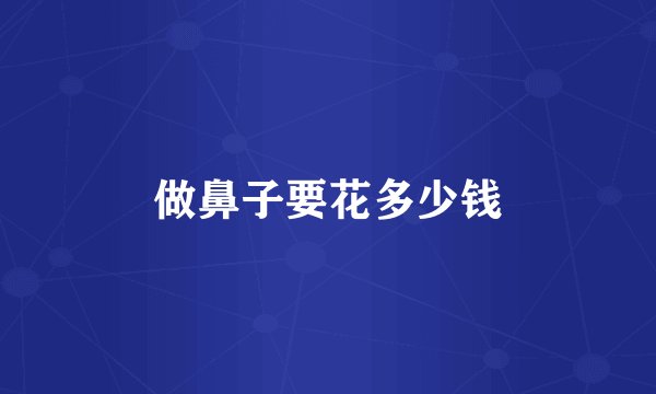 做鼻子要花多少钱