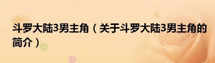 斗罗大陆3男主角（关于斗罗大陆3男主角的简介）