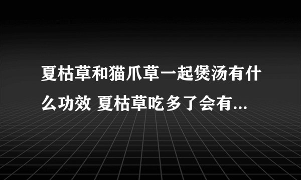 夏枯草和猫爪草一起煲汤有什么功效 夏枯草吃多了会有什么副作用