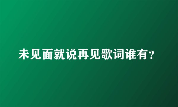 未见面就说再见歌词谁有？