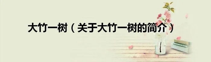 大竹一树（关于大竹一树的简介）