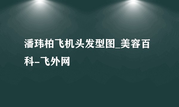 潘玮柏飞机头发型图_美容百科-飞外网