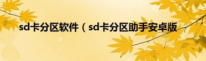 sd卡分区软件(sd卡分区助手安卓版