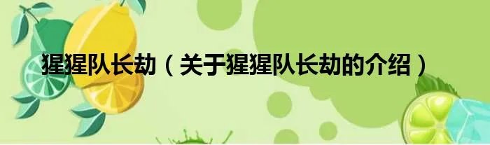 猩猩队长劫(关于猩猩队长劫的介绍)