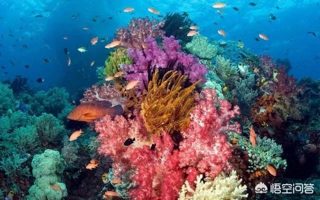 热浪岛旅游攻略有哪些？