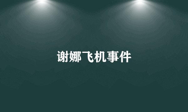 谢娜飞机事件