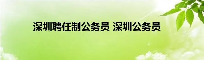 深圳聘任制公务员 深圳公务员