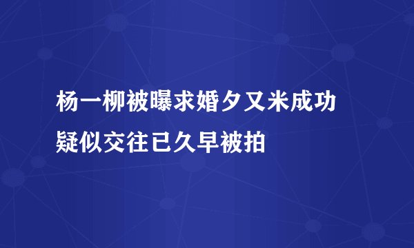 杨一柳被曝求婚夕又米成功 疑似交往已久早被拍