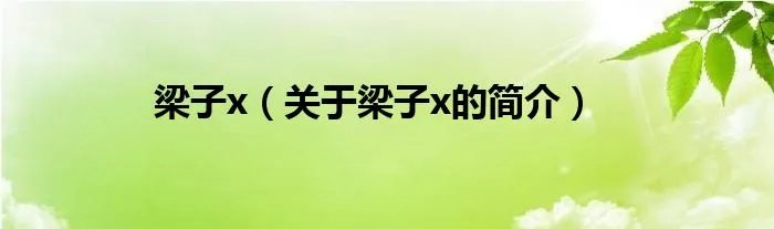 梁子x（关于梁子x的简介）