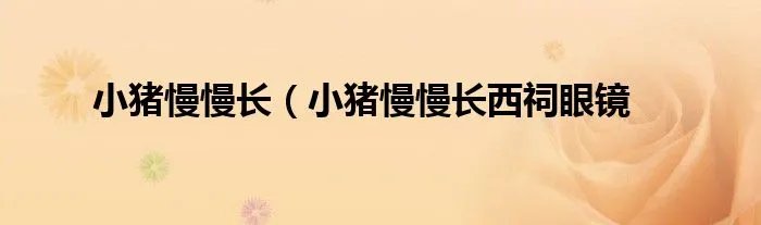 小猪慢慢长（小猪慢慢长西祠眼镜