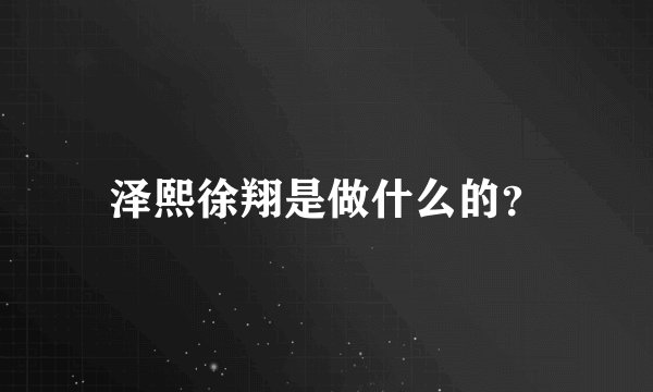 泽熙徐翔是做什么的？