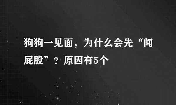 狗狗一见面，为什么会先“闻屁股”？原因有5个