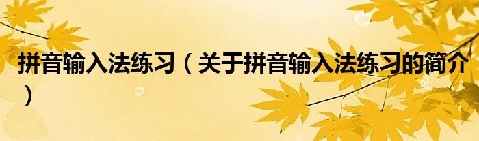 拼音输入法练习（关于拼音输入法练习的简介）