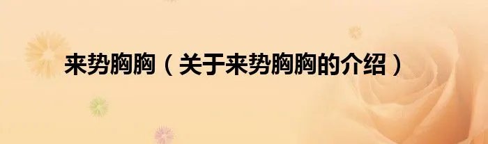 来势胸胸（关于来势胸胸的介绍）