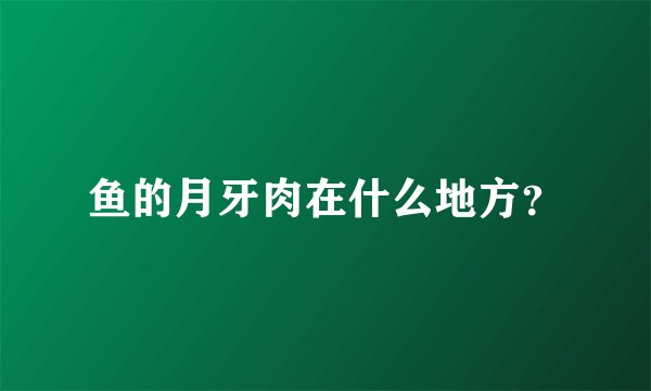 鱼的月牙肉在什么地方？