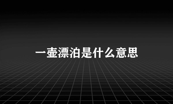 一壶漂泊是什么意思