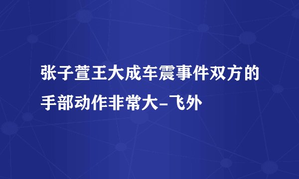 张子萱王大成车震事件双方的手部动作非常大-飞外