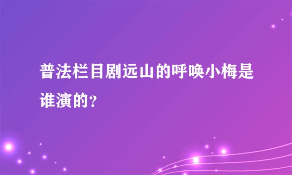 普法栏目剧远山的呼唤小梅是谁演的？