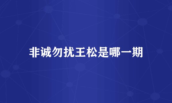 非诚勿扰王松是哪一期