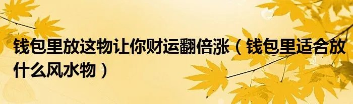 钱包里放这物让你财运翻倍涨(钱包里适合放什么风水物)