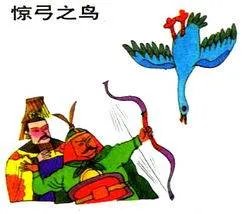 谁最了解鸟类