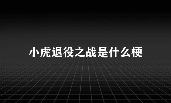 小虎退役之战是什么梗
