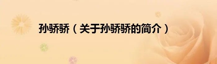 孙骄骄（关于孙骄骄的简介）