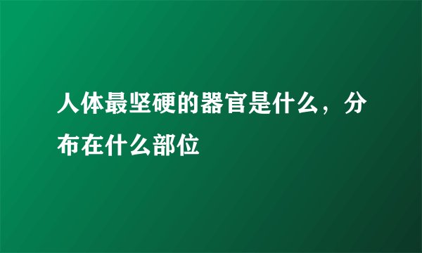 人体最坚硬的器官是什么，分布在什么部位