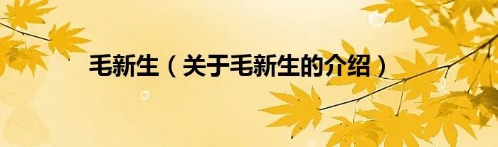 毛新生（关于毛新生的介绍）