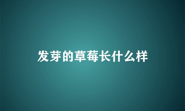 发芽的草莓长什么样