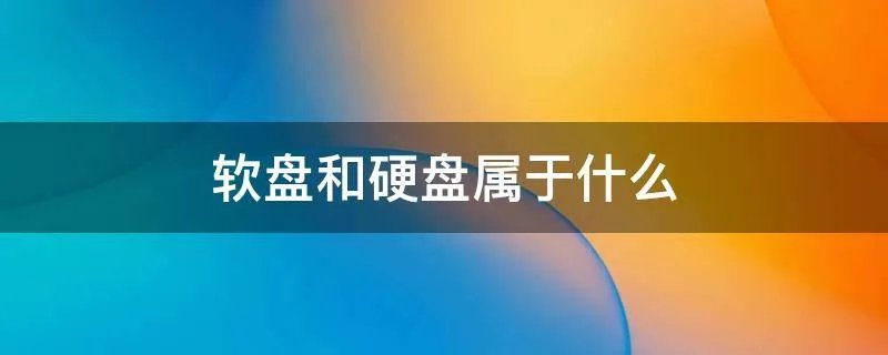 软盘和硬盘属于什么