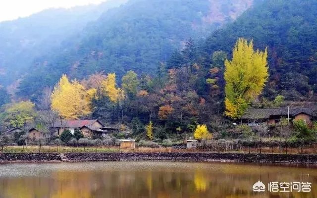 水没坪村