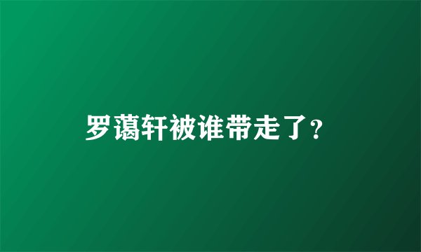 罗蔼轩被谁带走了？