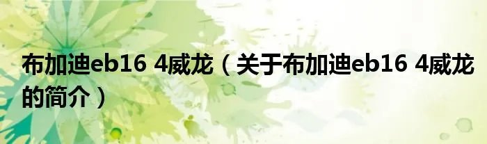 布加迪eb16 4威龙(关于布加迪eb16 4威龙的简介)