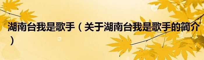 湖南台我是歌手（关于湖南台我是歌手的简介）