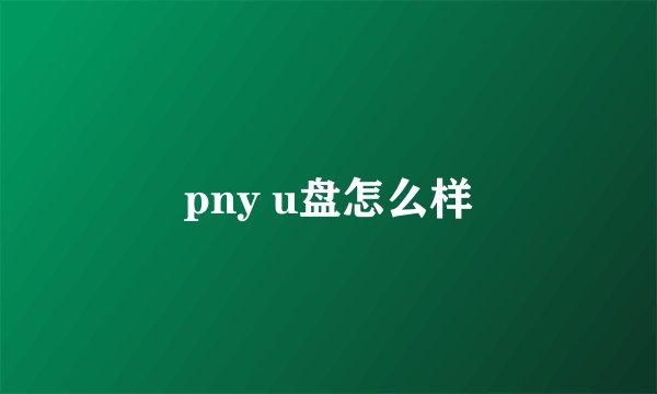 pny u盘怎么样