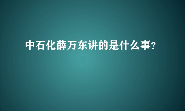 中石化薛万东讲的是什么事？