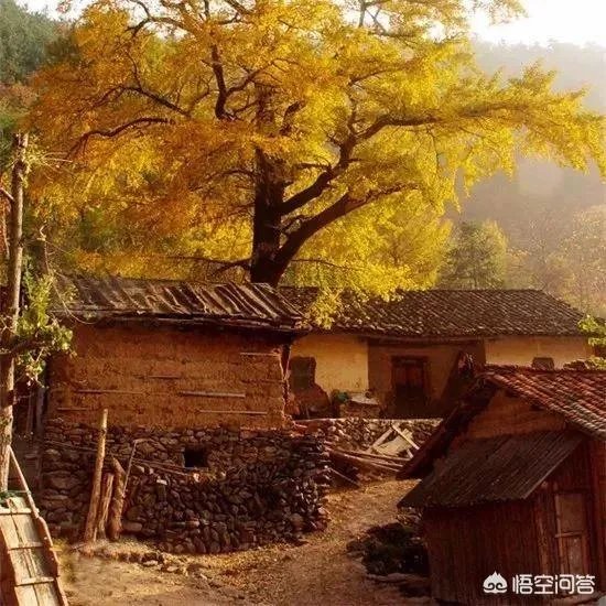 水没坪村