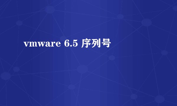 vmware 6.5 序列号