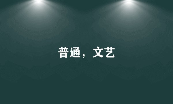 普通，文艺