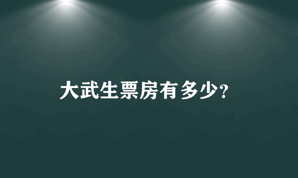 大武生票房有多少？