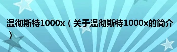 温彻斯特1000x（关于温彻斯特1000x的简介）
