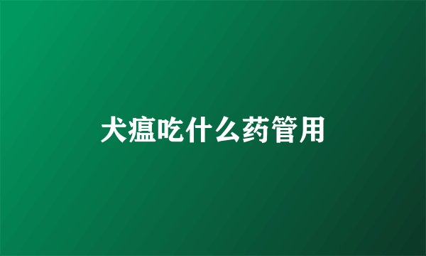 犬瘟吃什么药管用